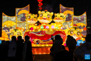 Lễ hội đèn lồng thắp sáng khắp Trung Quốc